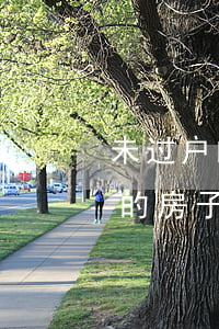 未过户的房产法院可以强制执行吗(没有过户的房子,法院可以执行吗)