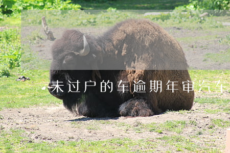 未过户的车逾期年审(汽车逾期半年没审)