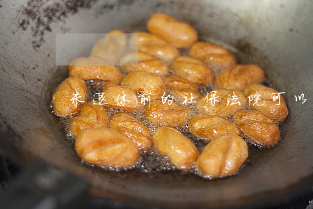 未退休前的社保法院可以执行吗
