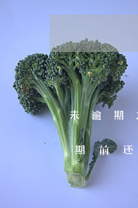 未逾期之前能不能协商还款(协商还款是在逾期前还是逾期后)