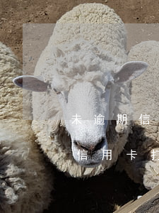 未逾期信用卡老打電話不接行不行-沒逾期信用卡打電話什么事