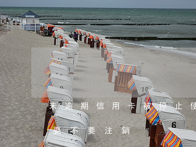 未逾期信用卡被停止使用(信用卡逾期被停用要不要注銷)