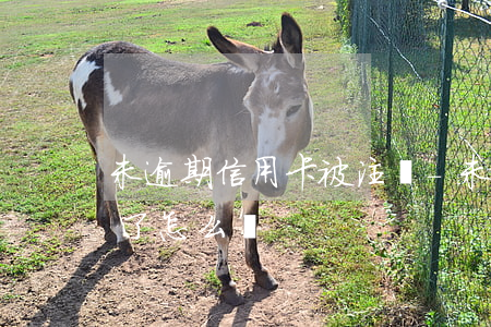未逾期信用卡被注銷-未逾期信用卡被注銷了怎么辦