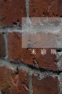 未逾期備用金不讓用(備用金沒逾期顯示逾期)
