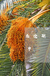 未逾期可以協(xié)商還款(未逾期可以申請協(xié)商還款嗎?)