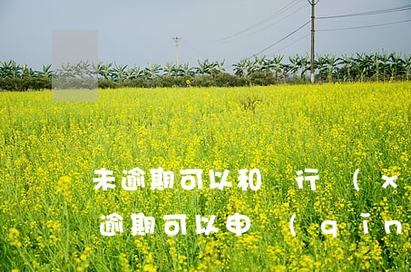 未逾期可以和銀行協(xié)商還款嗎(未逾期可以申請(qǐng)協(xié)商還款嗎?)