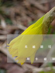 未逾期可以申請(qǐng)停息掛賬嗎(信用卡逾期能否停息掛賬2019規(guī)定)