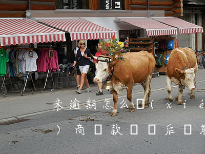 未逾期怎么協(xié)商還款(協(xié)商還款違約后還能協(xié)商么)