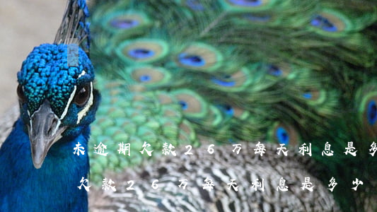 未逾期欠款26万每天利息是多少元（未逾期欠款26万每天利息是多少）