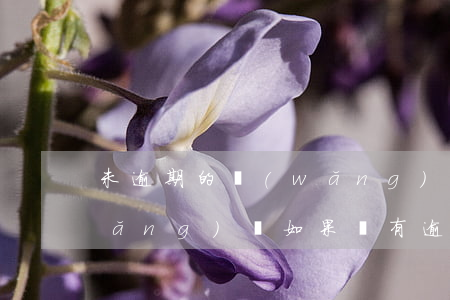 未逾期的網(wǎng)貸上征信嗎(網(wǎng)貸如果沒有逾期影響征信嗎)