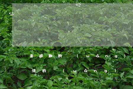 未逾期的網(wǎng)貸會上征信嗎(不合法的網(wǎng)貸逾期會上征信嗎?)