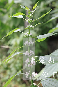 未逾期的質(zhì)保金要提壞賬嗎（未逾期的質(zhì)保金要提壞賬嗎）