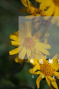 未逾期網(wǎng)貸影響征信么(網(wǎng)貸未逾期會(huì)影響征信么)