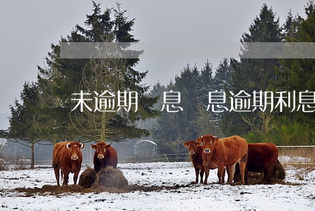 未逾期罰息(罰息 逾期利息)