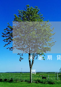 未逾期貸款可以核銷嗎(未逾期貸款可以核銷嗎)