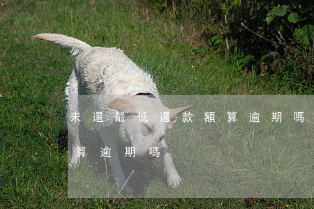未還最低還款額算逾期嗎(未還夠最低還款額算逾期嗎)