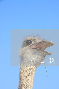 未還款逾期了怎么還(到期未還款怎么辦)