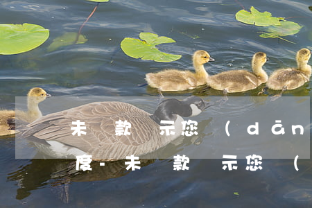 未還款顯示您當(dāng)前暫無借唄額度-未還款顯示您當(dāng)前暫無借唄額度什么意思