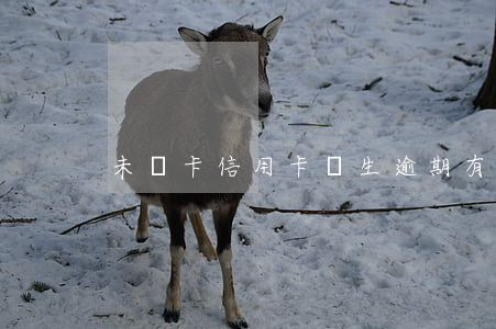 未開卡信用卡產生逾期(有逾期辦理信用卡)