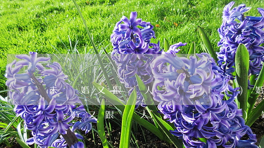 未離婚又跟別人結(jié)婚犯重婚罪(未離婚又跟別人結(jié)婚犯重婚罪)
