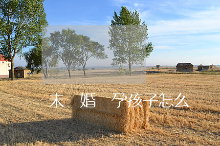 未離婚懷孕孩子怎么辦