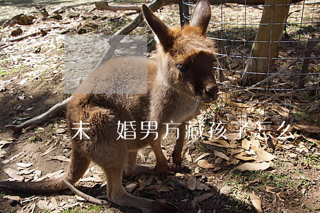 未離婚男方藏孩子怎么辦