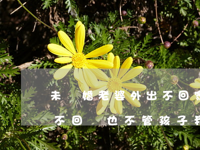 未離婚老婆外出不回家怎么辦(老婆離家出走不回來也不管孩子我能離婚嗎)