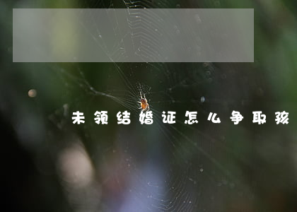 未领结婚证怎么争取孩子抚养权问题
