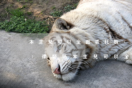 本主兒可以全面委托執(zhí)業(yè)律師嗎(本主兒可以全面委托執(zhí)業(yè)律師嗎)