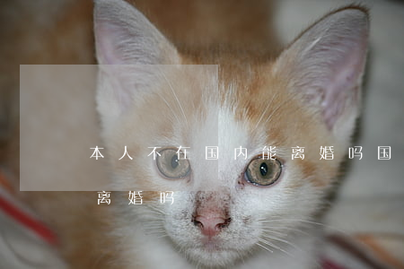本人不在国内能离婚吗(国外结婚证在国内能离婚吗)