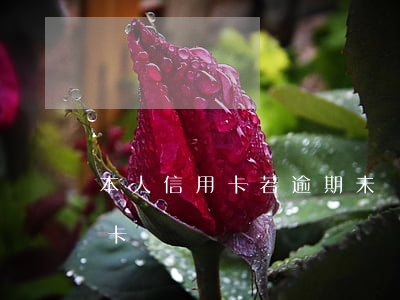 本人信用卡若逾期未還去世(人去世不還信用卡)