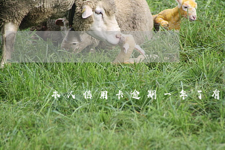本人信用卡逾期一年了(有信用卡逾期一年的嗎)