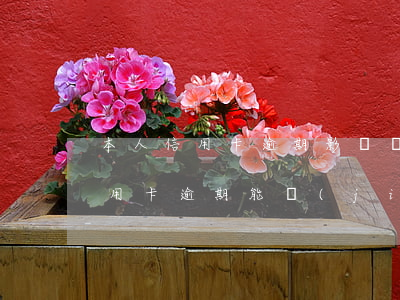 本人信用卡逾期影響結(jié)婚嗎(欠信用卡逾期能結(jié)婚嗎)