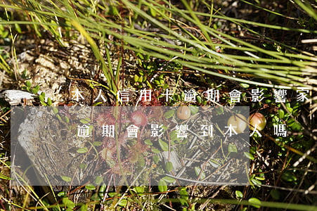 本人信用卡逾期會影響家人嗎(親人的信用卡逾期會影響到本人嗎?)