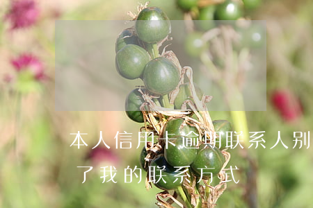 本人信用卡逾期联系人(别人的信用卡逾期,写了我的联系方式)