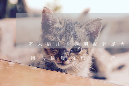 本人信用卡逾期配偶是否能貸款-配偶有信用卡逾期可以辦理房貸嗎