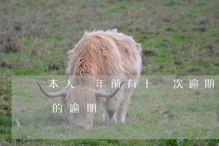 本人兩年前有十幾次逾期還款咋辦-兩年前的逾期記錄