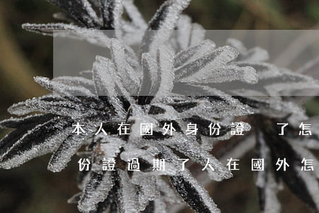 本人在國外身份證丟了怎么補(bǔ)辦(身份證過期了人在國外怎么補(bǔ)辦身份證)