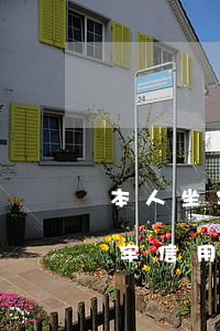 本人坐牢信用卡逾期8個月怎么辦-本人坐牢信用卡逾期8個月怎么辦理