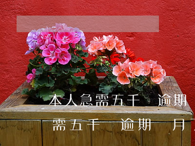 本人急需五千塊逾期兩月了怎么辦-本人急需五千塊逾期兩月了怎么辦呢