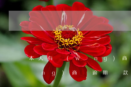 本人有網(wǎng)商貸存在逾期(網(wǎng)商貸逾期還款的后果,真是坑到你無法想象)