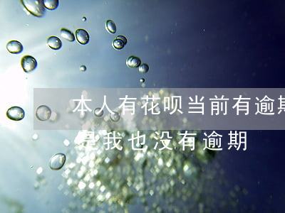 本人有花呗当前有逾期(显示花呗账号异常 可是我也没有逾期)