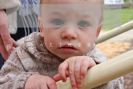 本人欠了网贷没钱还了(欠网贷没钱还会怎样)