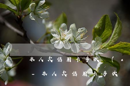 本人欠信用卡 多次協(xié)商被拒還款-本人欠信用卡 多次協(xié)商被拒還款怎么辦