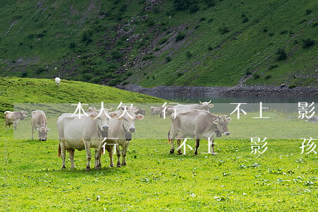 本人欠銀行錢還不上會影響孩子嗎-本人欠銀行錢還不上會影響孩子嗎知乎