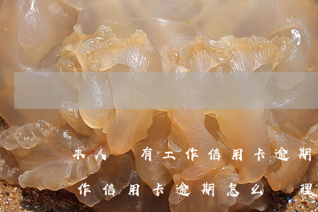 本人沒有工作信用卡逾期怎么辦(本人沒有工作信用卡逾期怎么辦理)