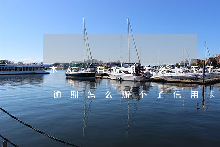 本人沒有逾期怎么辦不了信用卡-本人沒有逾期怎么辦不了信用卡?