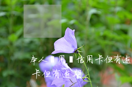 本人沒用過信用卡但有逾期(本人沒用過信用卡但有逾期)