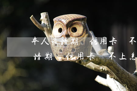 本人疫情期間信用卡還不上怎么辦-本人疫情期間信用卡還不上怎么辦呢