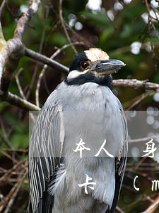 本人親身不還信用卡經(jīng)歷(信用卡沒(méi)還的人后來(lái)如何了)